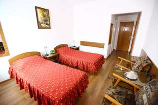 Отель Hotel Moldova Bîrlad Двухместный номер с 1 кроватью или 2 отдельными кроватями-4